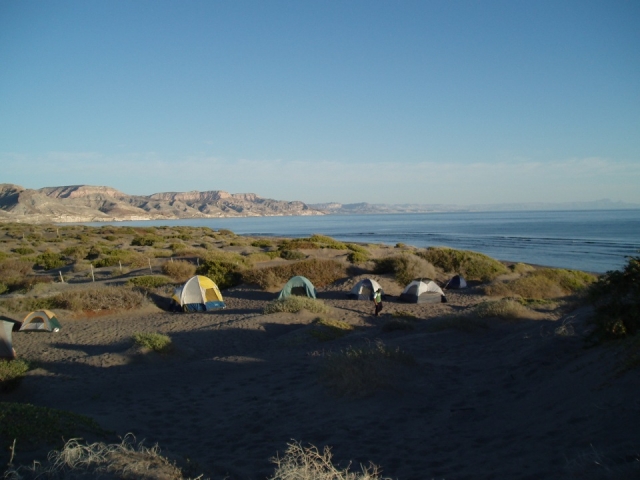 noche bajo las estrellas